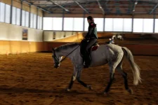 IMGP6767.webp