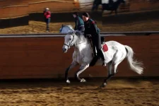 IMGP6786.webp