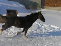 P3050003_измен.размер.webp
