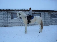 x_a5dcf52d.webp