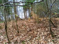 SAM_2698.webp