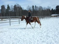 DSCF6779.webp