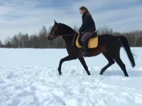 DSCF6726.webp