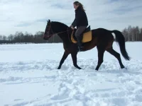 DSCF6723.webp