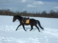 DSCF6748.webp