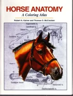 Horse anatomy. A coloring atlas.webp