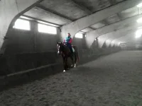 катаетМ.webp