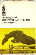 Заводской спортивный тренинг лошадей.webp