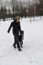 x_4b146d75[1].webp