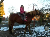 SAM_2797.webp
