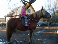 SAM_2798.webp