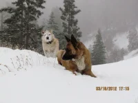 cael & snoopy.webp