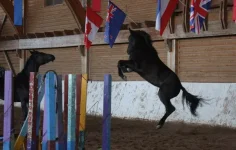 x_35ab79e2.webp