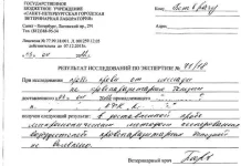 gpg063.webp