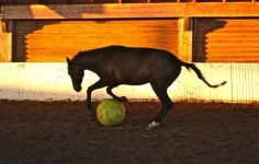 x_f5e8c8f4.webp