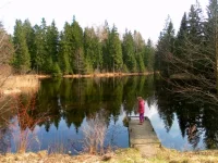 SAM_2813.webp