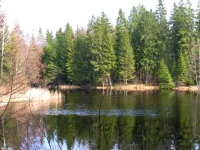 SAM_2818.webp