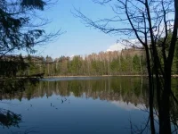 SAM_2843.webp