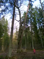 SAM_2830.webp