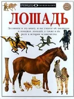 Клаттон-Брок-Лошадь.webp