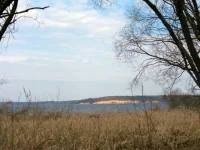 SAM_2852.webp