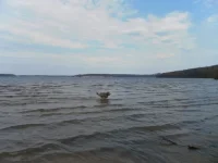 SAM_2861.webp