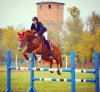 E5F06849-0D5D-4A9A-A764-87BBA85A51D9.jpeg