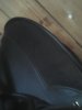 IMG10171.jpg