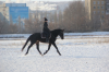jerebets29517_129063_896_b.png