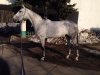 IMG_1556-02-02-18-10-29.JPG