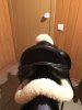 FB_IMG_1518615472084.jpg