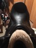 FB_IMG_1518615482872.jpg