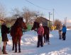 DSC_5717.JPG