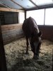 IMG-20180228-WA0002.jpg
