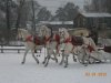 DSCN2399.JPG