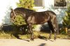 IMG-20171128-WA0005.jpg