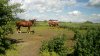 IMG-20180313-WA0006.jpg