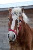 DSC_6328.JPG