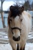 DSC_6334.JPG