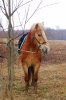 DSC_8377.JPG