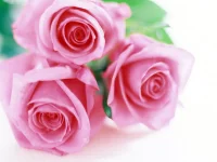 551052.webp