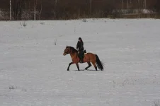 x_d6764b37.webp