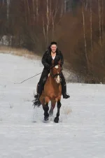 x_2247a2cf.webp