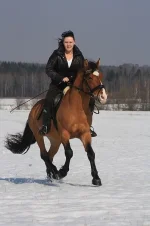 x_c4c02876.webp