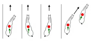 side-movements.webp