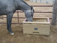 Horse_eating_from_Slow_Feeder_Saver.webp