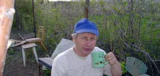 Пока трактор пашет.webp
