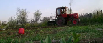 Трактор в огороде-9.webp