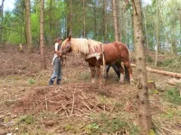 SAM_2876.webp