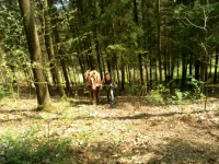 SAM_2882.webp